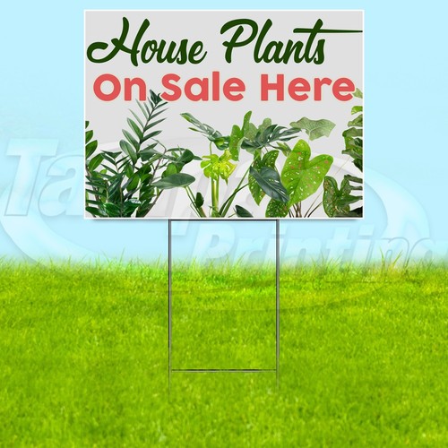 House plants sale - on,